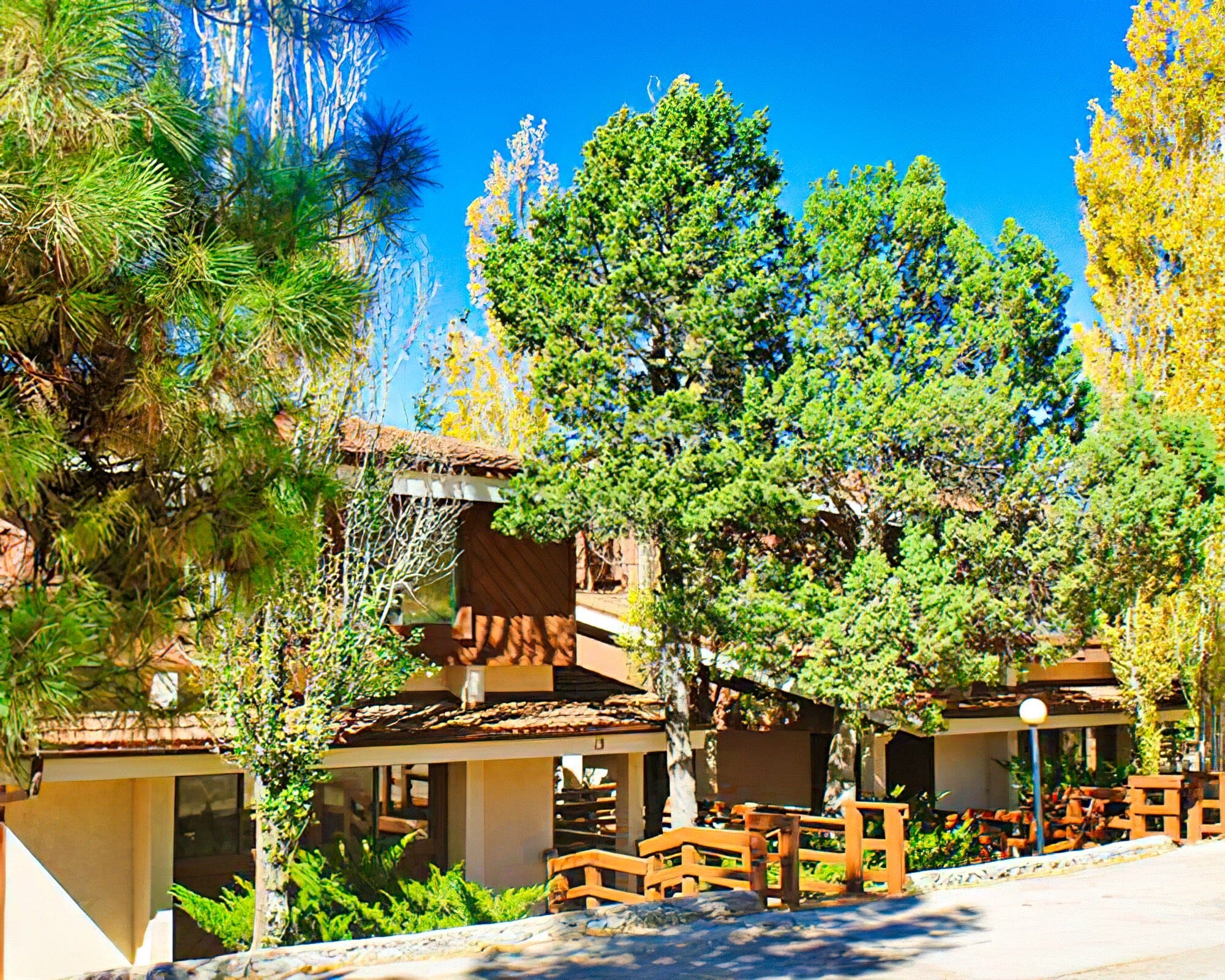 High Sierra - Image 10