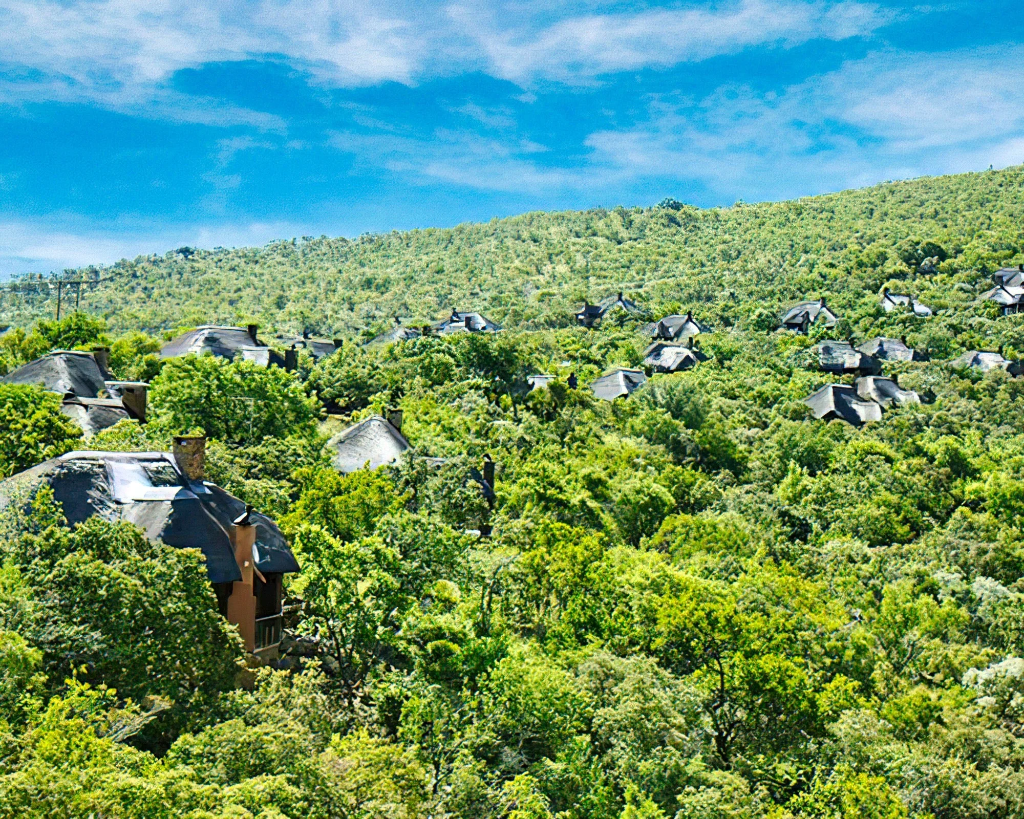Mabalingwe Nature Reserve - Image 9