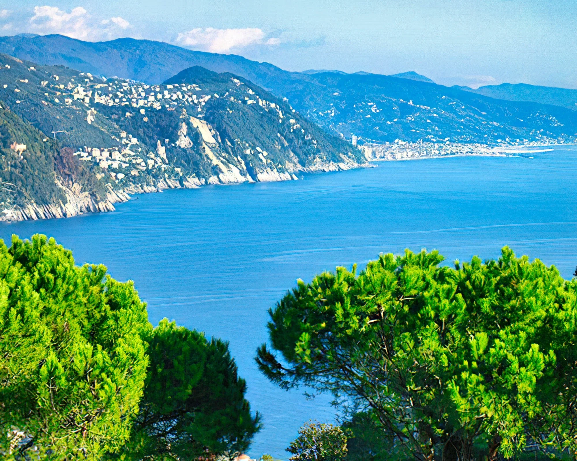 Portofino Est Residence - Image 20