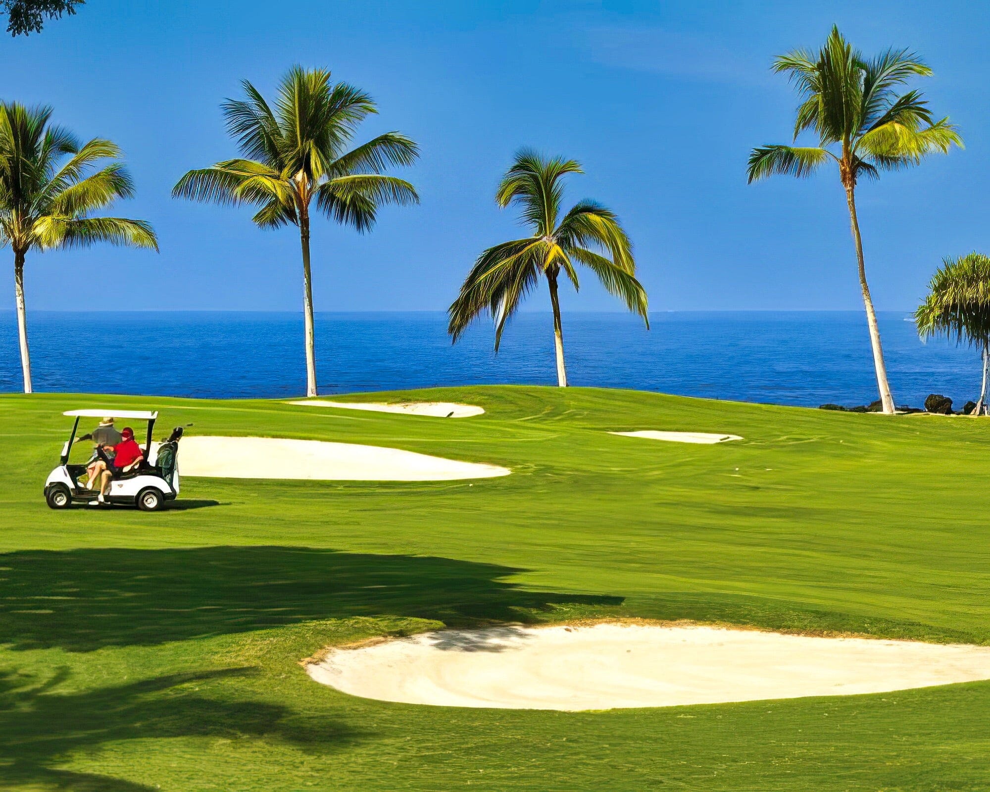 Shell Vacations Club at Holua Resort at Mauna Loa Village - Image 19