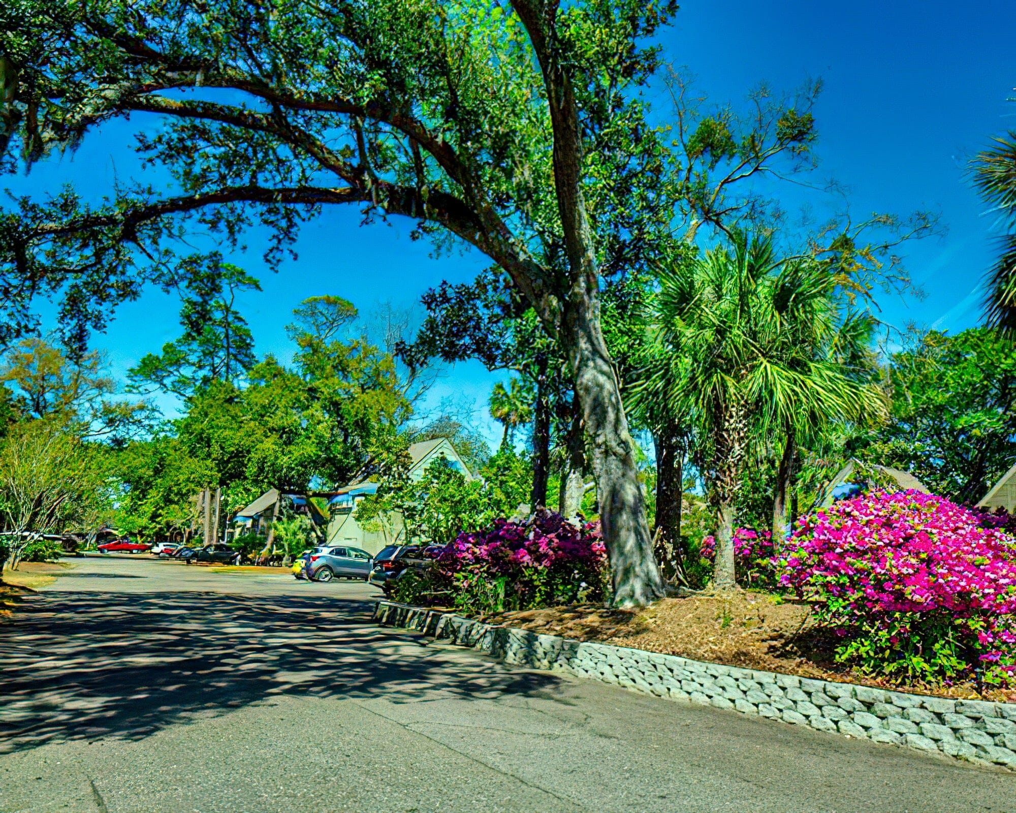 The Village at Palmetto Dunes - Image 8